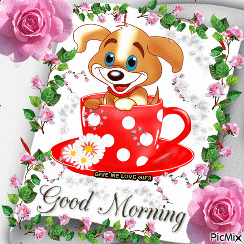 Good Morning GIF Cute Images