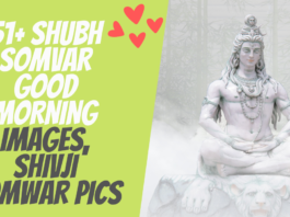 51+ Shubh Somvar Good Morning Images, Shivji Somwar Pics
