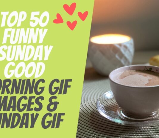 Top 50 Funny Sunday Good Morning GIF Images & Funday GIF