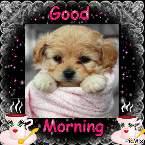 Good Morning Dog Funny GIF Images